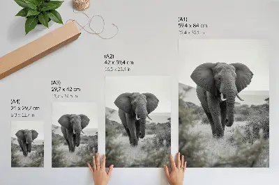 Wandposter met een grote olifant tegen een natuurlijke achtergrond