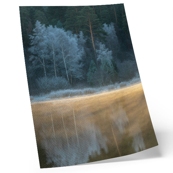 Poster Een stil bos boven het wateroppervlak, een mystieke aura.