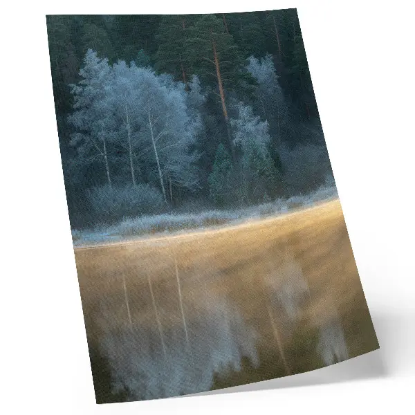 Poster met een verstild bos boven het wateroppervlak in een mystieke sfeer