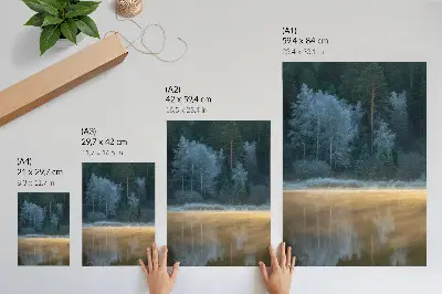 Poster met een verstild bos boven het wateroppervlak in een mystieke sfeer