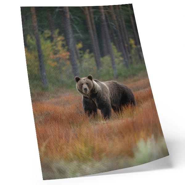 Poster Een beer in de herfst, in het bos, vol natuur en rust.