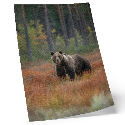 Poster Een beer in de herfst, in het bos, vol natuur en rust.
