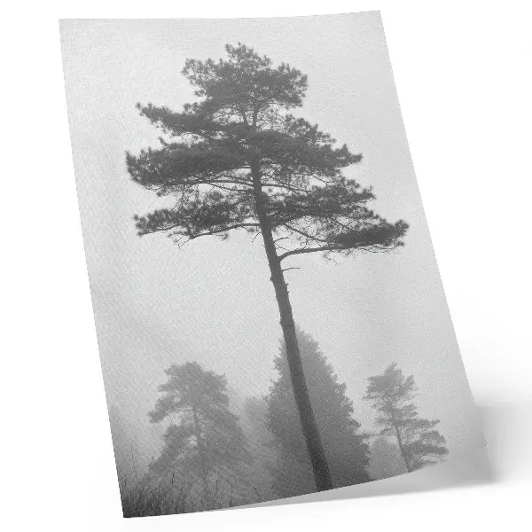 Decoratieve poster zwart-witte boom in de mist met een unieke stilte