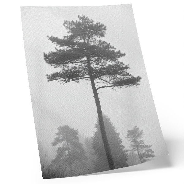 Decoratieve poster Zwart-witte boom in de mist, unieke stilte