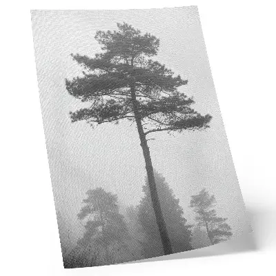 Decoratieve poster zwart-witte boom in de mist met een unieke stilte
