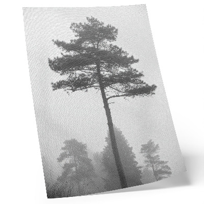 Decoratieve poster Zwart-witte boom in de mist, unieke stilte