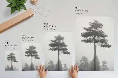 Decoratieve poster zwart-witte boom in de mist met een unieke stilte