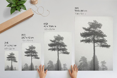Decoratieve poster Zwart-witte boom in de mist, unieke stilte