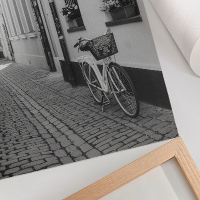 Decoratieve poster Straat, huurkazernes, bloemen, fiets, zwart-wit