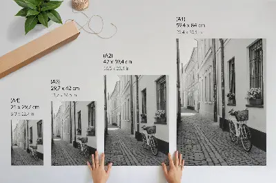 Decoratieve poster met een straatscène van huurkazernes met bloemen en een fiets in zwart-wit