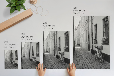 Decoratieve poster Straat, huurkazernes, bloemen, fiets, zwart-wit