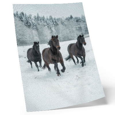 Wandposter Zwarte paarden in beweging tegen een besneeuwde achtergrond.