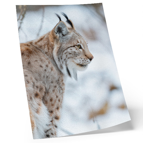 Poster Rysy in de winter, prachtige natuur, harmonie van natuurlijke kleuren.