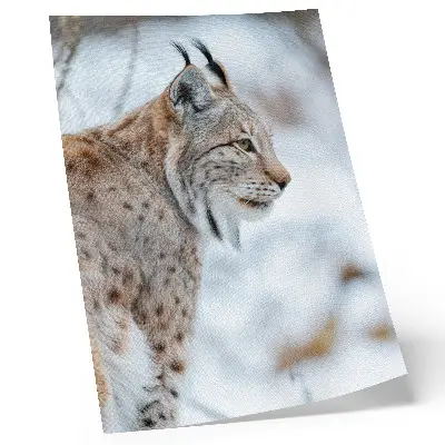 Poster Rysy in de winter met een harmonie van natuurlijke kleuren