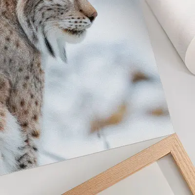 Poster Rysy in de winter met een harmonie van natuurlijke kleuren
