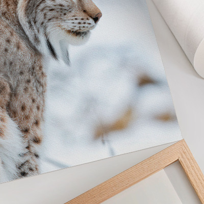 Poster Rysy in de winter, prachtige natuur, harmonie van natuurlijke kleuren.