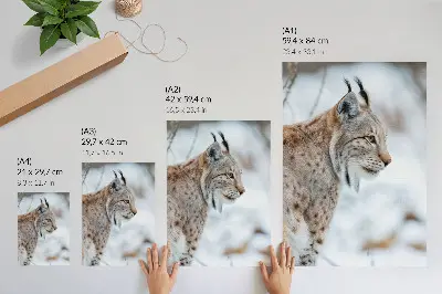 Poster Rysy in de winter met een harmonie van natuurlijke kleuren