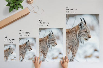 Poster Rysy in de winter, prachtige natuur, harmonie van natuurlijke kleuren.