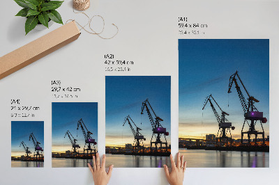 Decoratieve poster Kraanvogels tegen de achtergrond van een dynamische zonsondergang.