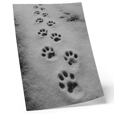 Decoratieve poster Pootafdrukken in de witte sneeuw, een vleugje mysterie.