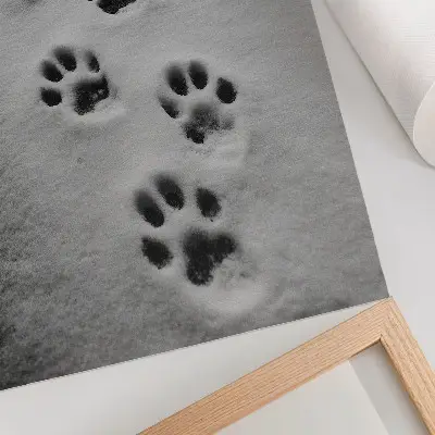 Decoratieve poster pootafdrukken in de witte sneeuw met een vleugje mysterie