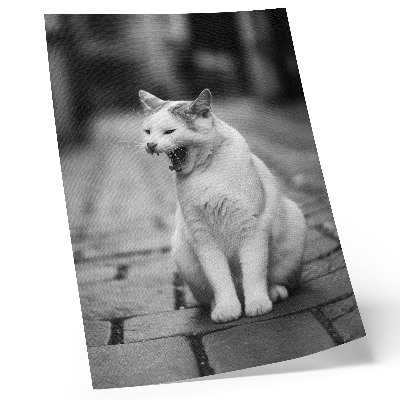 Wandposter Een schattige kat op een straat met kinderkopjes, in een zwart-wit esthetisch tintje.