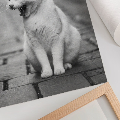 Wandposter Een schattige kat op een straat met kinderkopjes, in een zwart-wit esthetisch tintje.