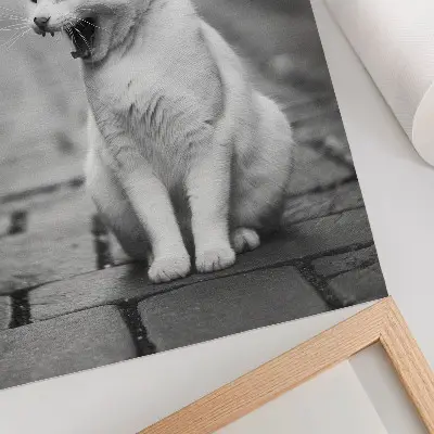 Wandposter een schattige kat op een straat met kinderkopjes in zwart-wit
