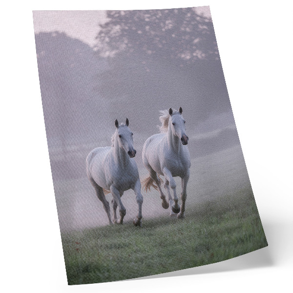 Wandposter Witte paarden ochtendmist ruimte natuur