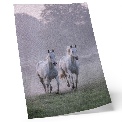 Wandposter Witte paarden ochtendmist ruimte natuur