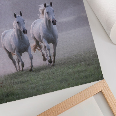 Wandposter Witte paarden ochtendmist ruimte natuur