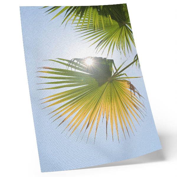 Decoratieve poster Palmbladeren op een blauwe achtergrond, in het zonlicht.