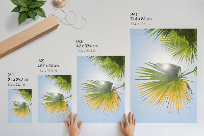 Decoratieve poster Palmbladeren op een blauwe achtergrond, in het zonlicht.