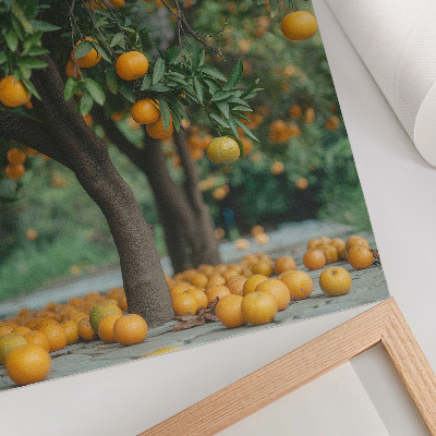 Poster Sappige sinaasappels aan een boom in een groene boomgaard.