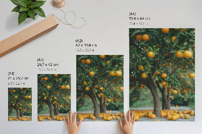 Poster Sappige sinaasappels aan een boom in een groene boomgaard.