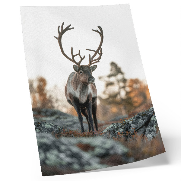 Decoratieve poster Herten tegen een achtergrond van rotsen en bomen in een herfstlandschap.