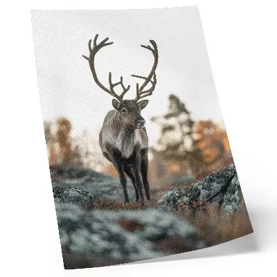 Decoratieve poster met een hert in een herfstlandschap met rotsen en bomen