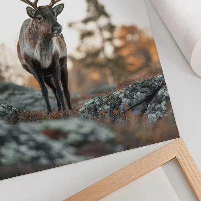 Decoratieve poster Herten tegen een achtergrond van rotsen en bomen in een herfstlandschap.