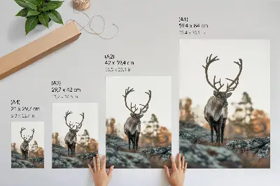 Decoratieve poster met een hert in een herfstlandschap met rotsen en bomen