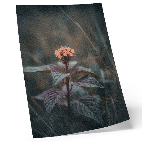 Wandposter Een plant met een kleurrijke bloem tegen een groene achtergrond.