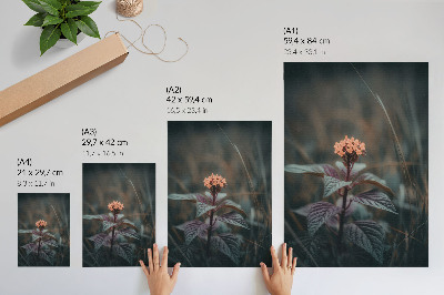 Wandposter Een plant met een kleurrijke bloem tegen een groene achtergrond.