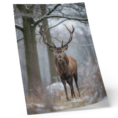 Poster Herten in de winter, majestueuze bostinten grijs