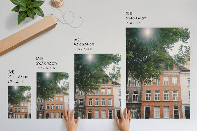 Decoratieve poster Kleurrijke gevels, groene bomen, de zon aan de hemel.