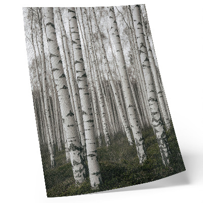 Wandposter Berkenbos in zwart-wit tinten