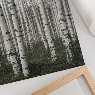 Wandposter Berkenbos in zwart-wit tinten