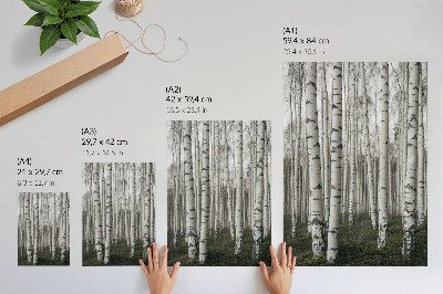 Wandposter Berkenbos in zwart-wit tinten