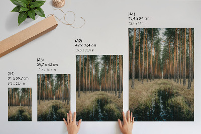 Wandposter Eenvoudig boslandschap, hoge bossen, symmetrie