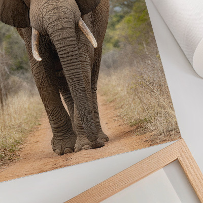 Poster Olifant op een pad in een Afrikaans landschap