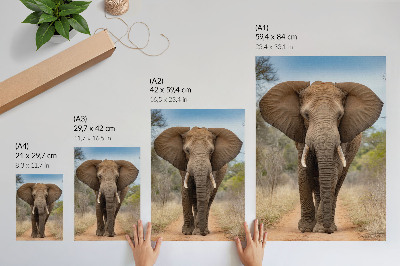 Poster Olifant op een pad in een Afrikaans landschap