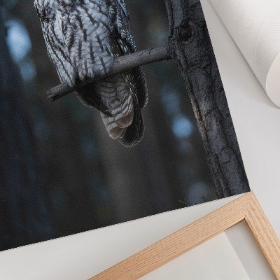 Decoratieve poster Donkere bosuil in de schijnwerpers